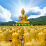 Avatar of Lê Thông