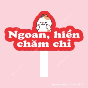 Ngoan Hien Cham Chi 2